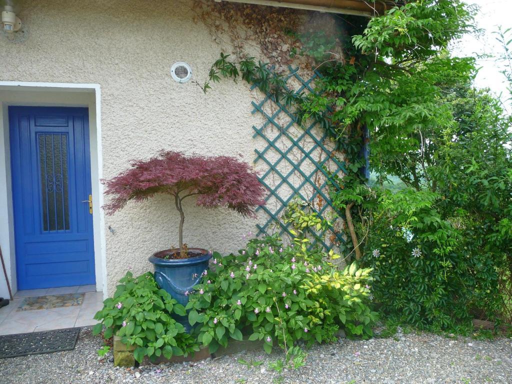 Maison Artigouha Bed and Breakfast Loubieng Eksteriør billede